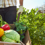 O futuro do agro no Brasil e a influência das cooperativas REVISTA EVENTO