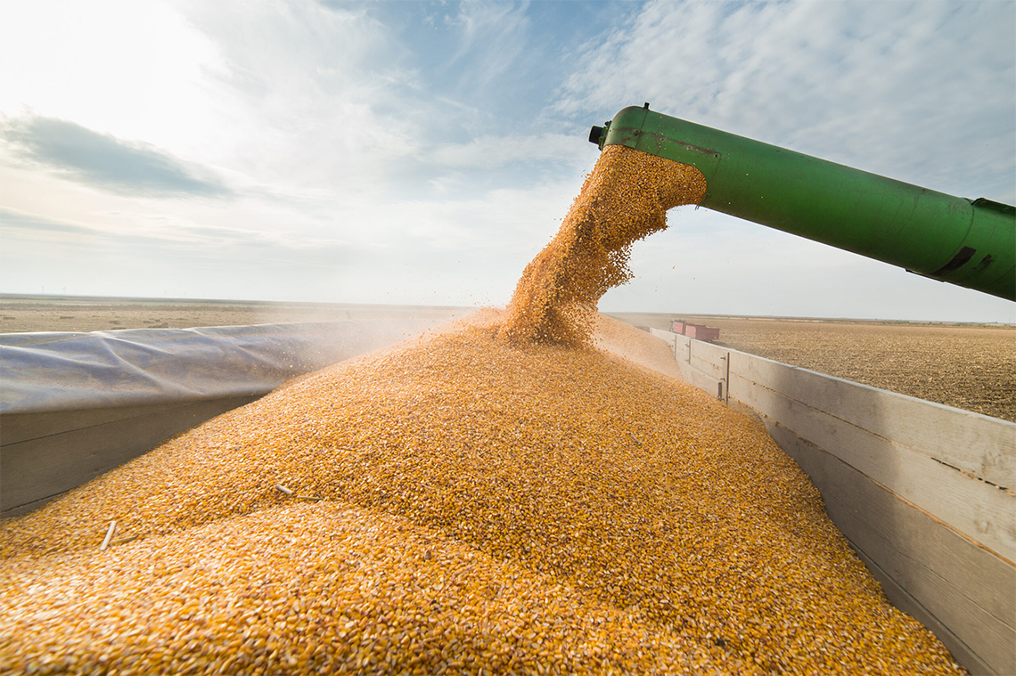 Nova estimativa da Conab aponta para produção de 268,2 milhões de toneladas soja 2