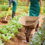 Previdência Privada: uma opção de proteção e planejamento financeiro cada vez mais necessária em nossa sociedade working on plantation