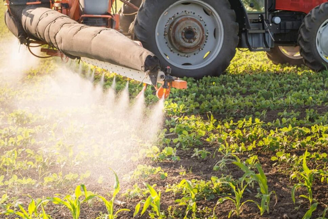 Cooperativa assume revenda de insumos da Tamburí Agronegócios agro 2