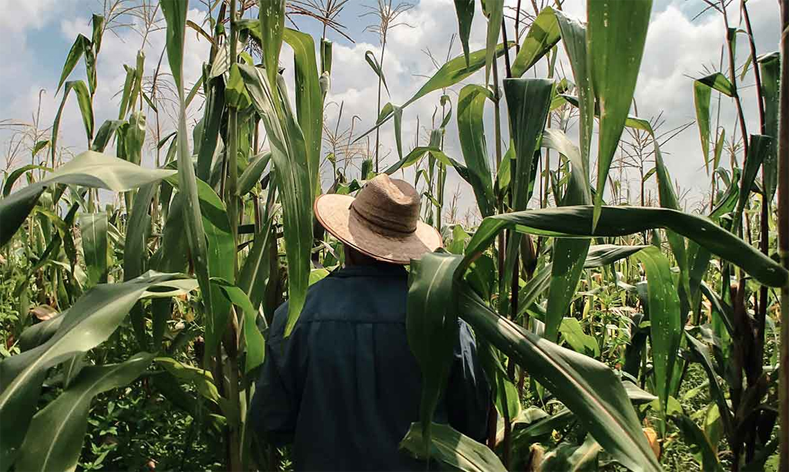 Bayer apoia capacitação de cooperativas para levar inovação ao agro nacional agrobrasileiro