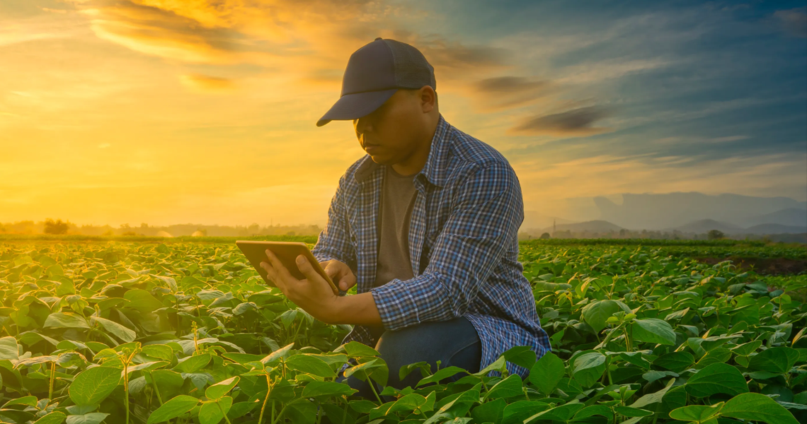 Projeto Hubtech vai apoiar trabalho de extensionistas e agricultores familiares img 11 3
