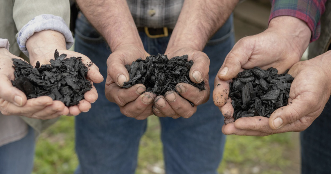 Cooperativas de café conhecem projeto inédito do biochar img 12 4