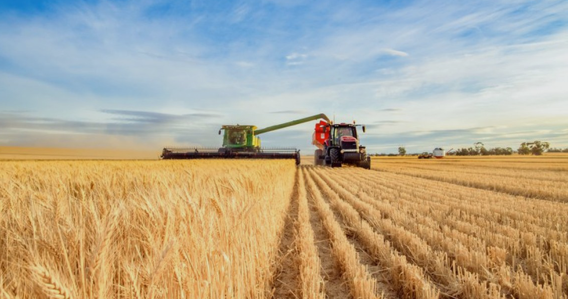Mais de R$ 33 bilhões foram disponibilizados no primeiro mês do Plano Safra 2022/23 img 14 1