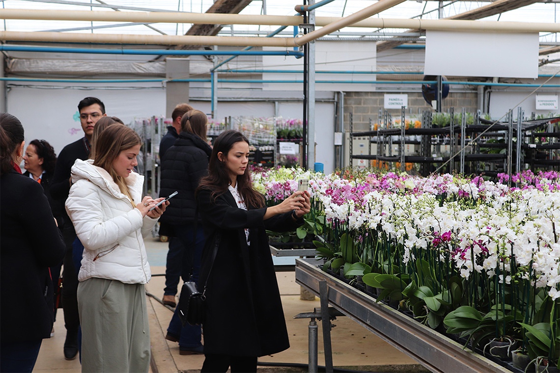 Flores, beleza que gera lucro veiling 2