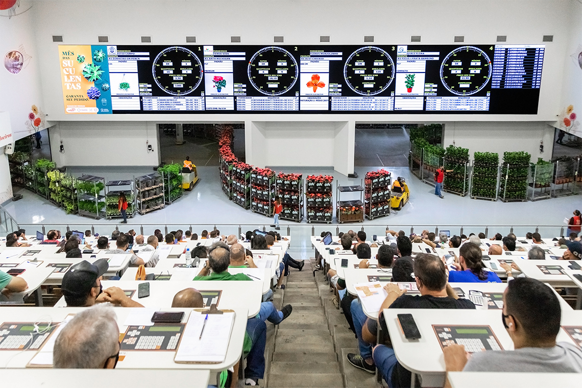 veiling edição 104 destaque