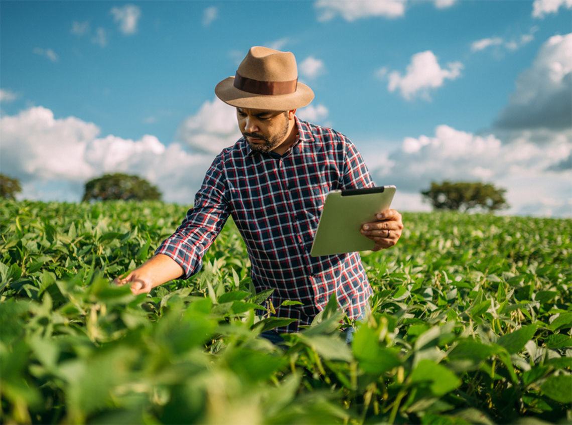Projetos digitais impulsionam o mercado de trabalho no agronegócio agro