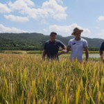 Após superar um 2021 repleto de desafios com resultado positivo, Unimed Nacional elabora direcionadores para atingir novas metas img 2 4
