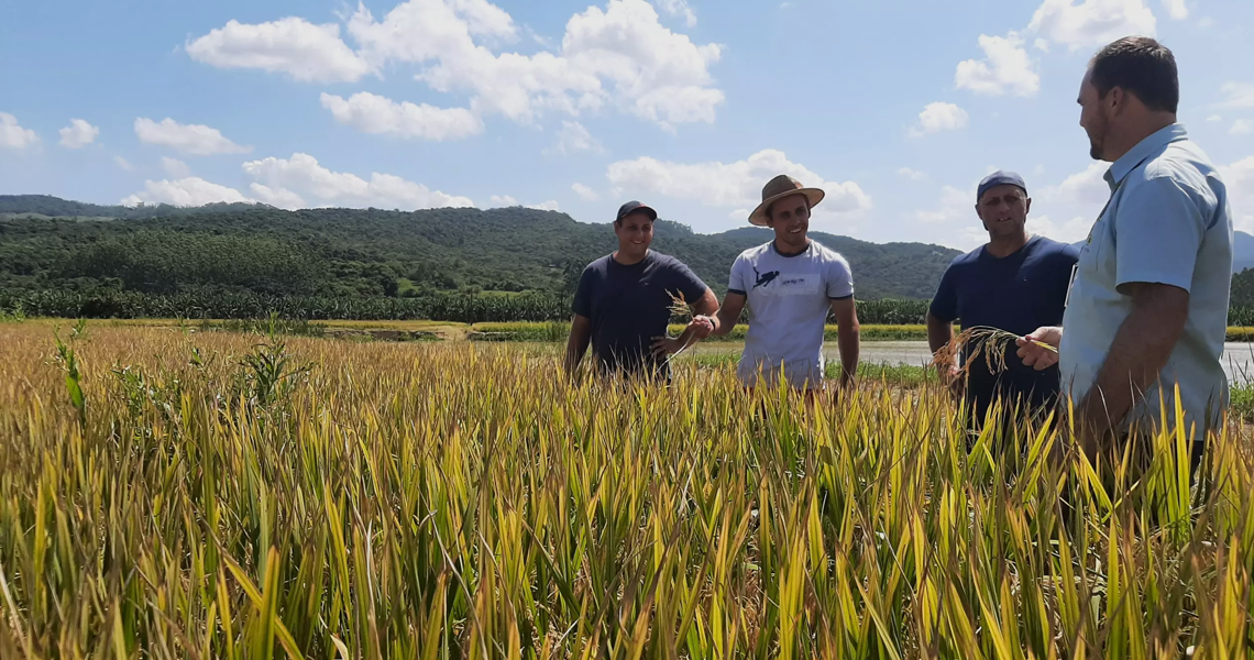 O papel da cooperativa na agricultura familiar img 2 4