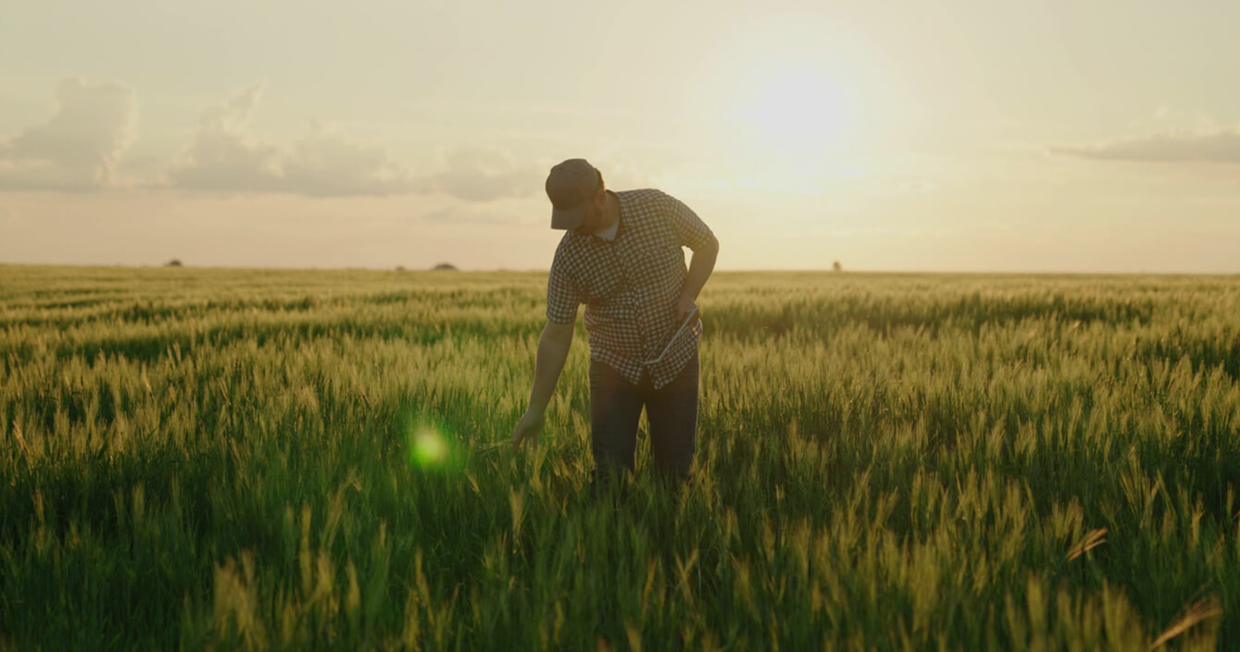 Cooperativismo movimenta mais de R$1,5 bilhão por ano no Tocantins img 2