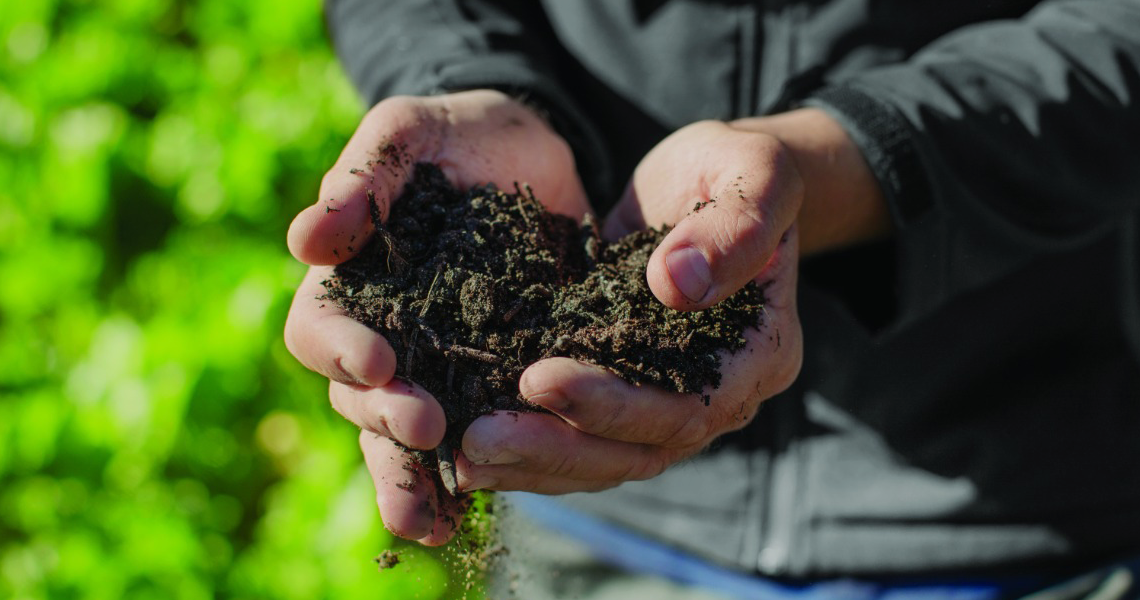 Mercado de créditos de carbono terá R$ 100 milhões do BNDES img 7