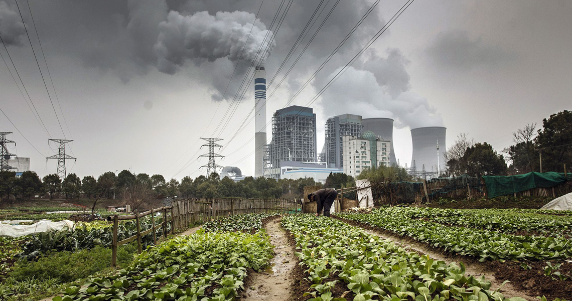 Mercado de Carbono cresceu quase quatro vezes mais no último ano img 8 5