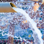 Cooperativa apresenta suas iniciativas sustentáveis na COP27 hirico