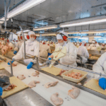 Cooperativa agropecuária elege nova diretoria img 1 2