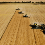 BNDES suspende linhas de nove programas de crédito rural; veja os impactos