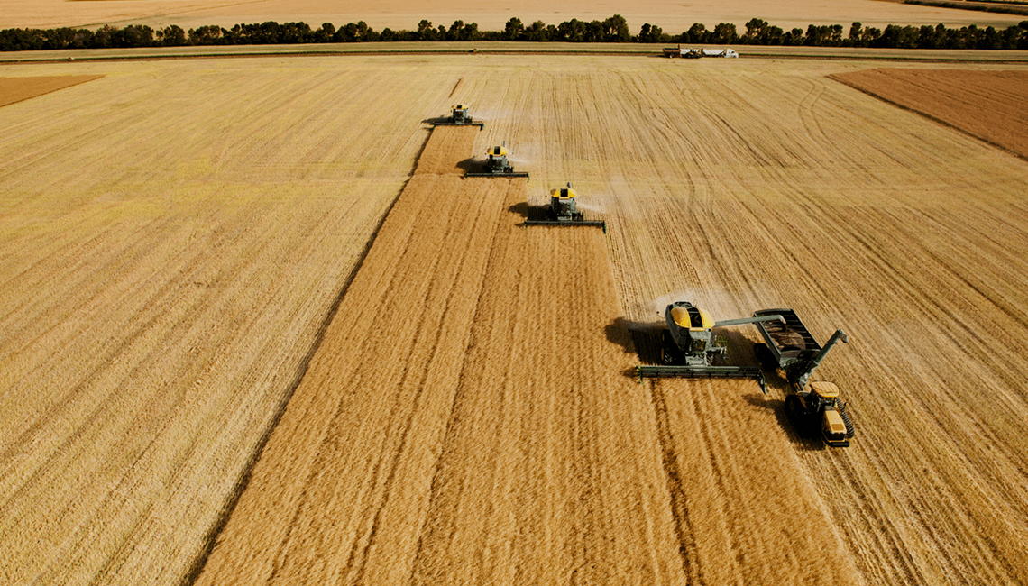 BNDES suspende linhas de nove programas de crédito rural; veja os impactos