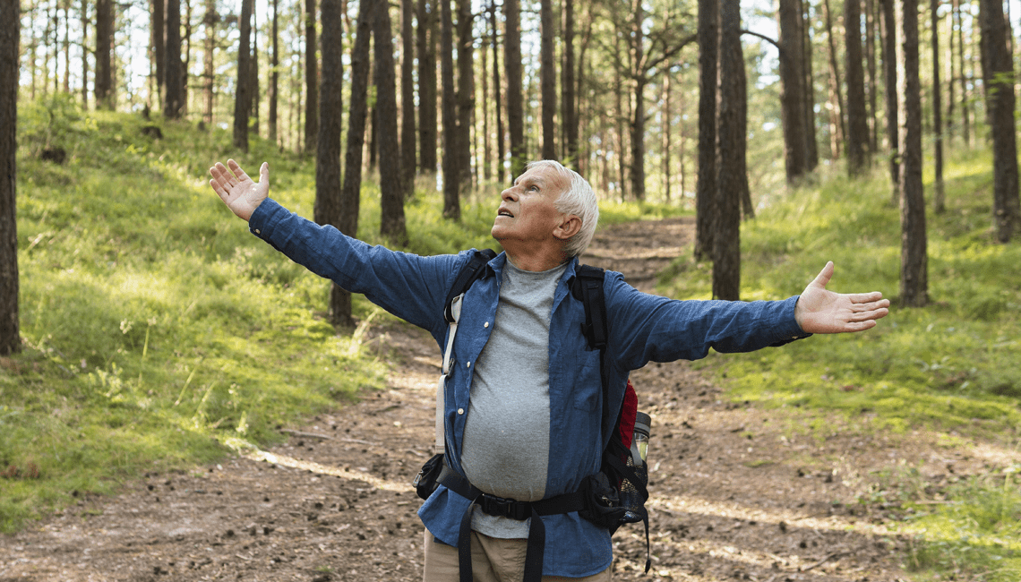 Conexão com a natureza traz benefícios para a longevidade img 12