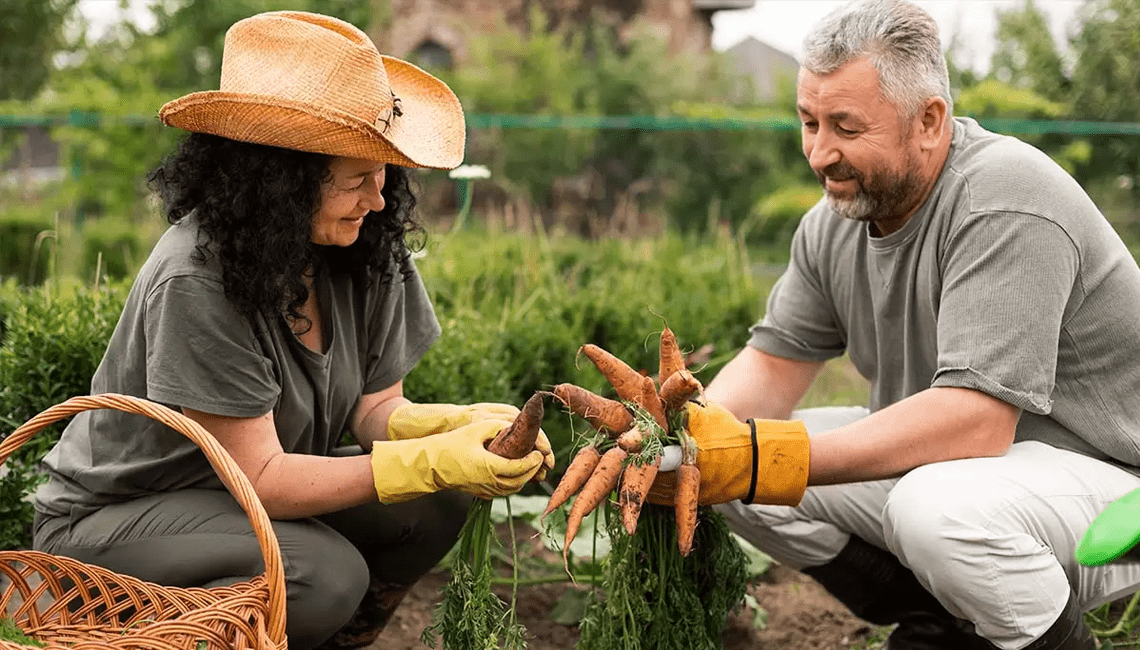 Ceará busca o cooperativismo para acelerar o agronegócio Ceará busca o cooperativismo para acelerar o agronegócio