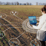 Como ter uma vida longa e com saúde, segundo a ciência img 4 11