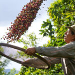 O microlearning e o segredo de aprender tudo em alguns minutos cafe