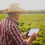 Cresce investimentos em marketplaces voltados ao produtor rural