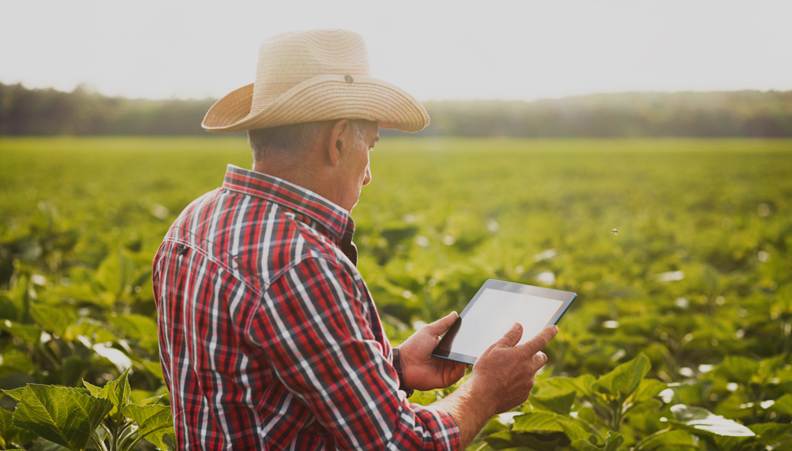 Cresce investimentos em marketplaces voltados ao produtor rural Cresce investimentos em marketplaces voltados ao produtor rural