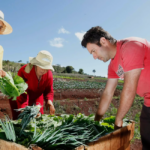 Representante do governo declara que cooperativismo é essencial para produção sustentável de alimentos