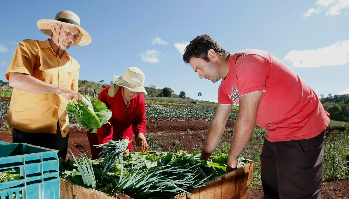 Representante do governo declara que cooperativismo é essencial para produção sustentável de alimentos Representante do governo declara que cooperativismo é essencial para produção sustentável de alimentos