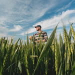 Quais os desafios e tendências para as cooperativas de crédito nos próximos anos? Cooperativas agrícolas do Rio de Janeiro registram aumento de 70% em seu faturamento