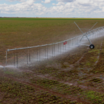 Economia e sustentabilidade: produtores rurais goianos aderem à energia solar