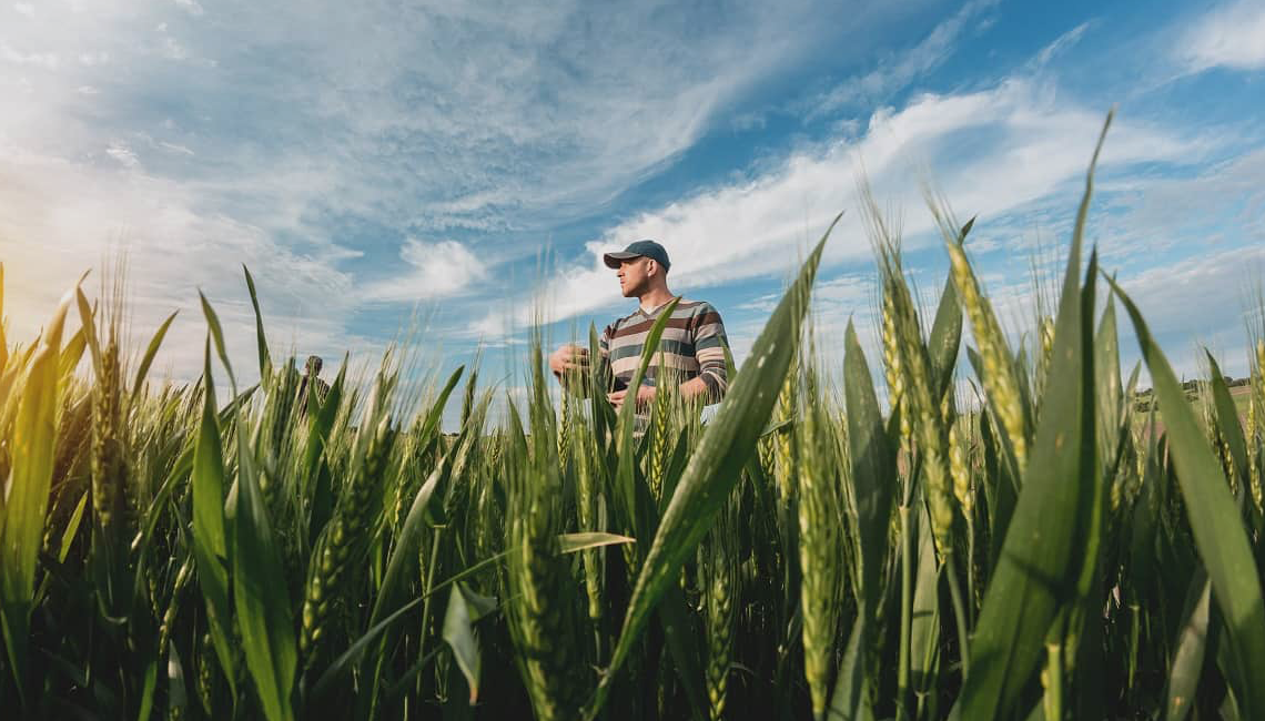 Cooperativas agrícolas do Rio de Janeiro registram aumento de 70% em seu faturamento Cooperativas agrícolas do Rio de Janeiro registram aumento de 70% em seu faturamento