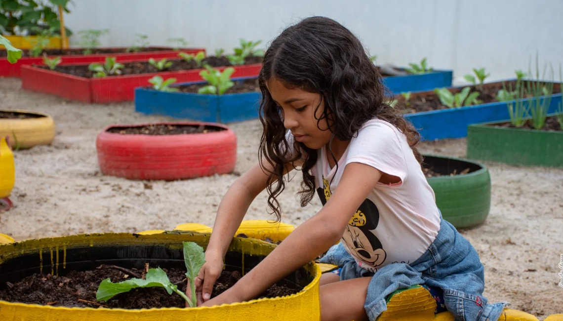 Cooperativa ensina cultivo de alimentos a alunos para evitar o desperdício nas escolas Cooperativa ensina cultivo de alimentos a alunos para evitar o desperdício nas escolas