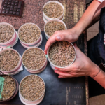 Cooperativa chega aos Estados Unidos levando a qualidade dos cafés do Cerrado Mineiro