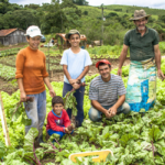 Cooperativismo quer contribuir para o fortalecimento e estímulo à agricultura familiar