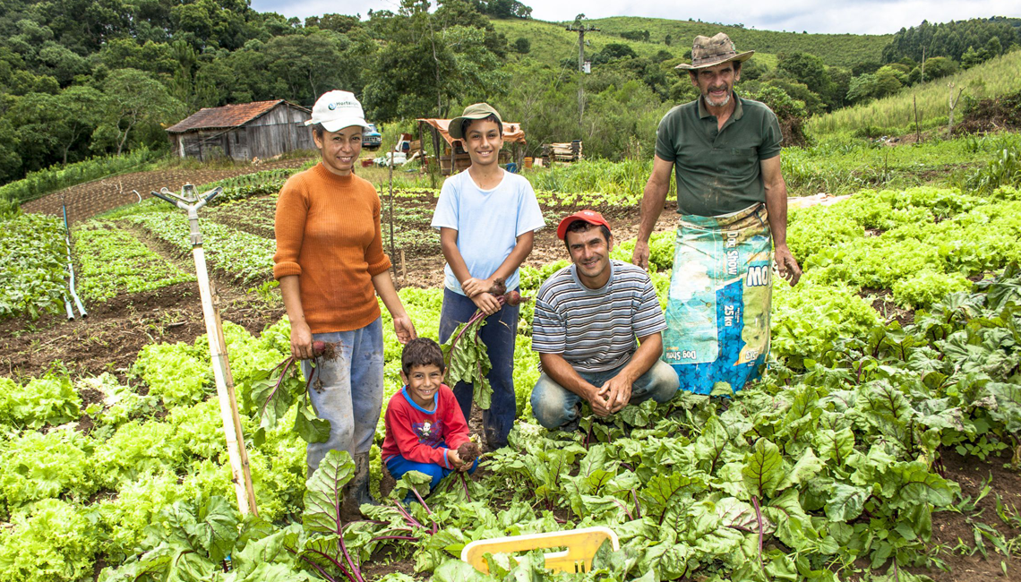 Cooperativismo quer contribuir para o fortalecimento e estímulo à agricultura familiar Cooperativismo quer contribuir para o fortalecimento e estímulo à agricultura familiar