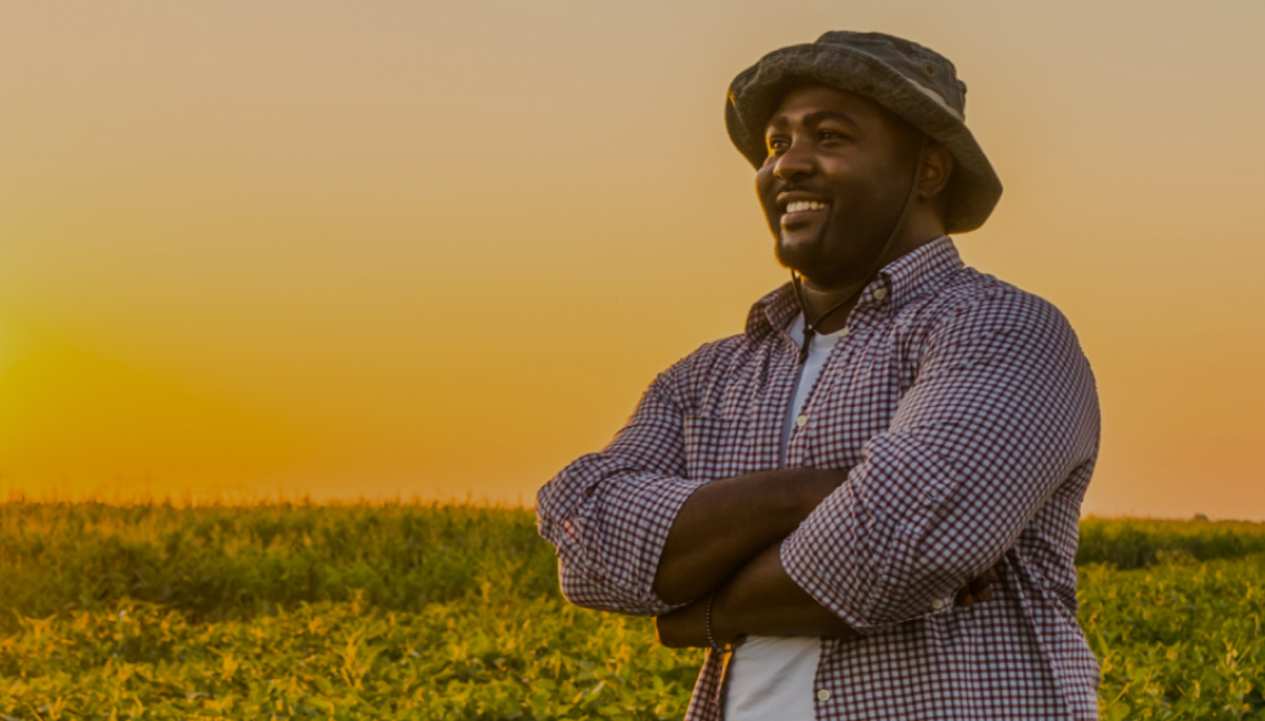 BNDES lança crédito rural em dólar mais competitivo para o setor agroexportador do Brasil BNDES lança crédito rural em dólar mais competitivo para o setor agroexportador do Brasil