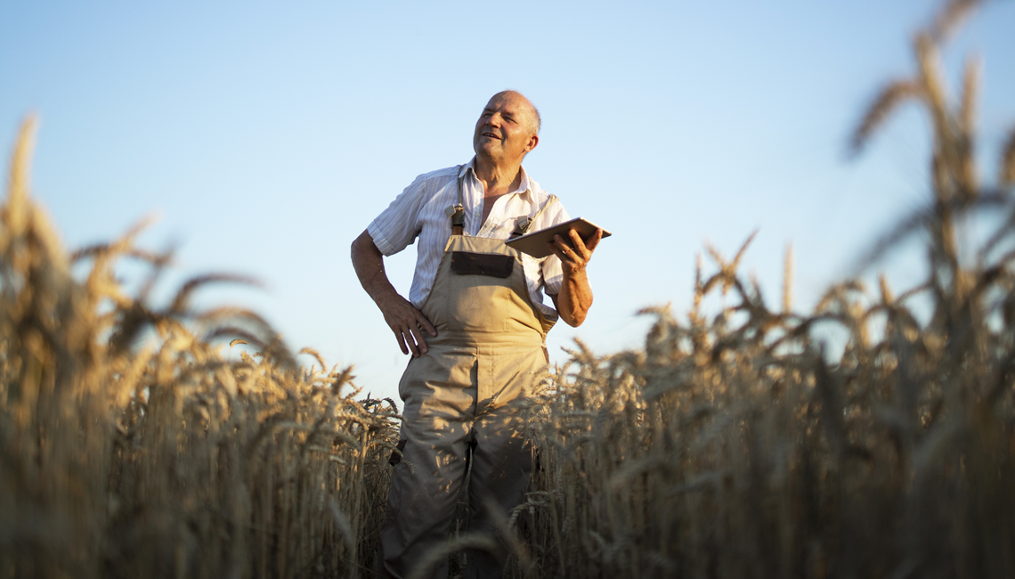 Empresas anunciam parceria para digitalização do agronegócio Empresas anunciam parceria para digitalização do agronegócio