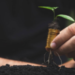 Financiamento para o setor agropecuário é uma prioridade diz CNA