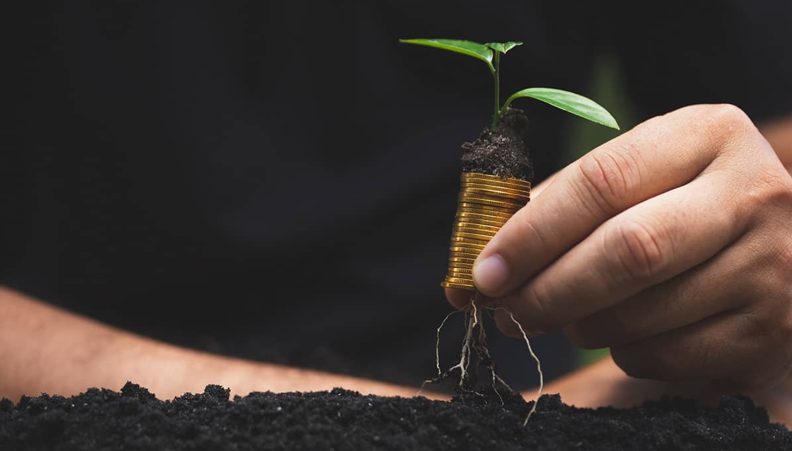 Financiamento para o setor agropecuário é uma prioridade diz CNA
