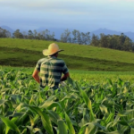 Cooperativas gaúchas driblam PIB e crescem