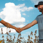 Modelo de trabalho de cooperativa alavanca bons resultados na soja safrinha