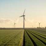 Pacto Global da ONU cria banco de soluções em baixo carbono e abre cadastro de dados para organizações