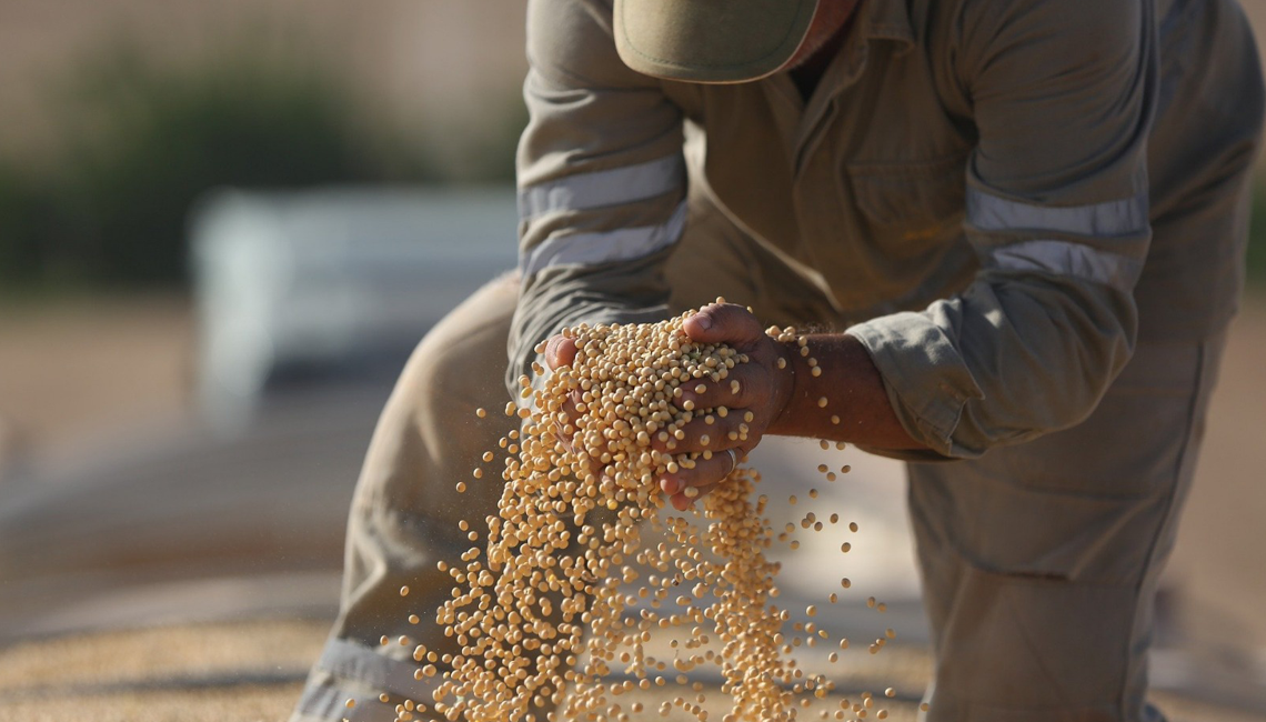 Cooperativas lideram facilitação de crédito para agro sustentável no país