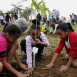 Lançamento do Dia C em Minas Gerais destaca cases voltados à sustentabilidade