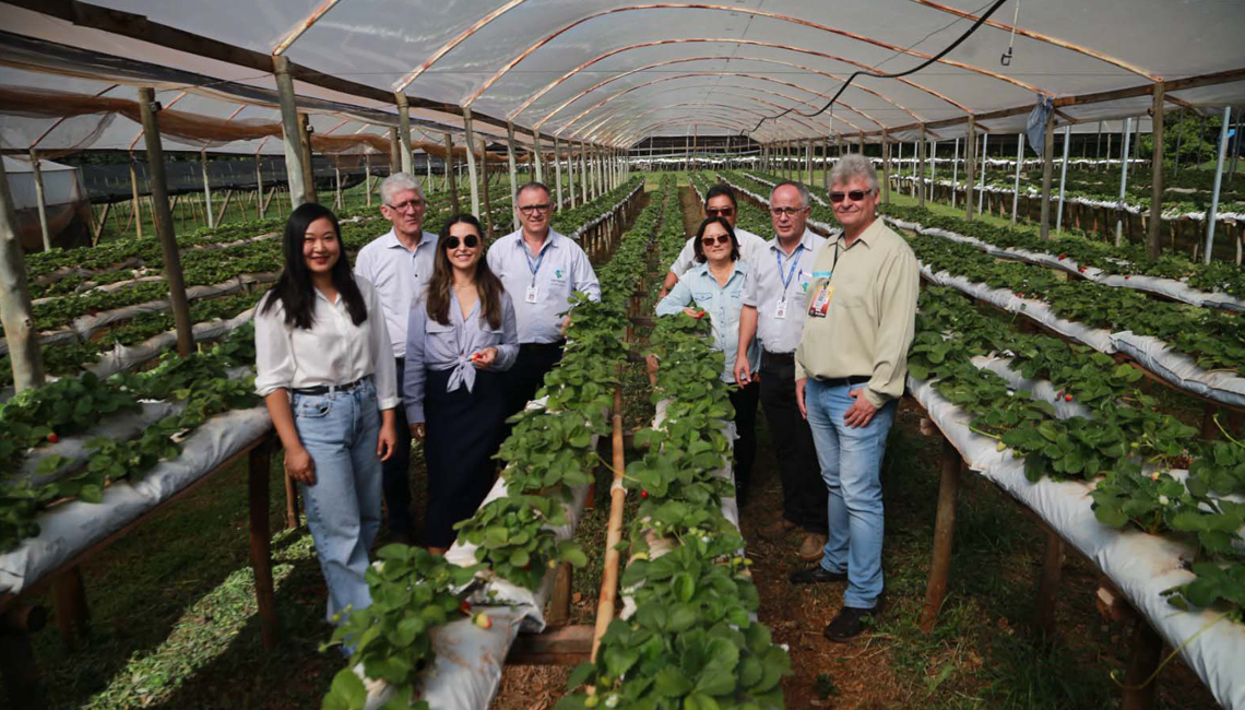 Paraná reforça apoio à agricultura familiar com investimentos em cooperativa de Maringá Paraná reforça apoio à agricultura familiar com investimentos em cooperativa de Maringá
