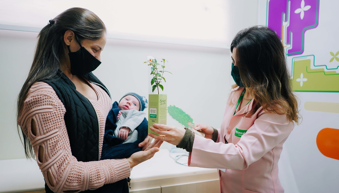 Cooperativa distribui mais de 37 mil mudas de árvores nativas