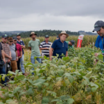 Cooperativas de agronegócio foram as que mais geraram postos de trabalho em 2022