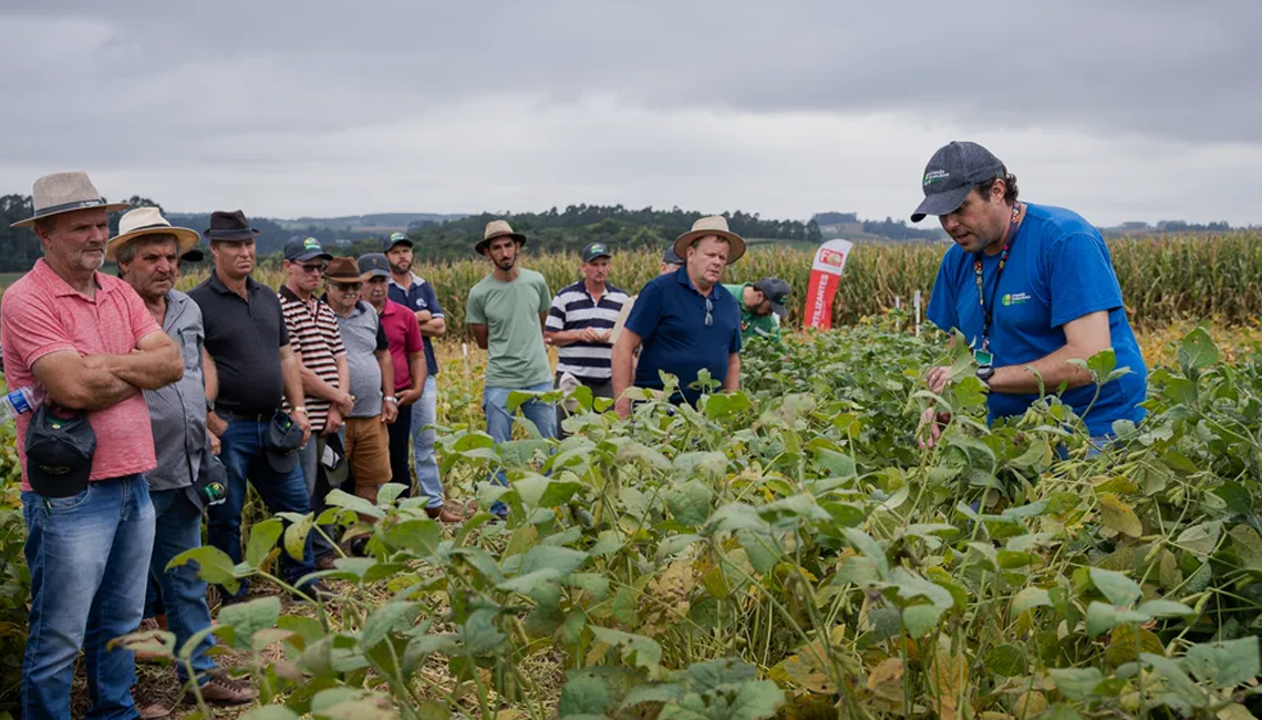 Cooperativas de agronegócio foram as que mais geraram postos de trabalho em 2022