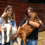 Paraná propõe implementar cooperativas-escolas para potencializar colégios agrícolas