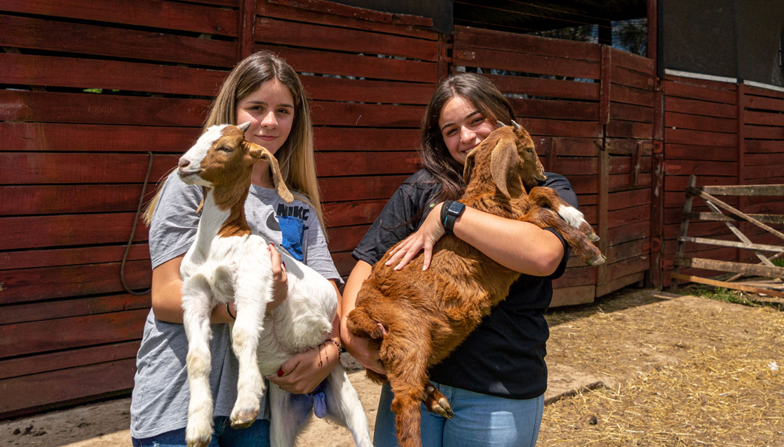 Projeto impulsionará negócios agrícolas através de cooperativas-escola Paraná propõe implementar cooperativas-escolas para potencializar colégios agrícolas